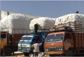 1-cotton-transport
